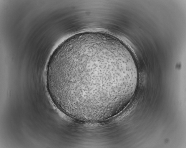 X0000100231046200806131332