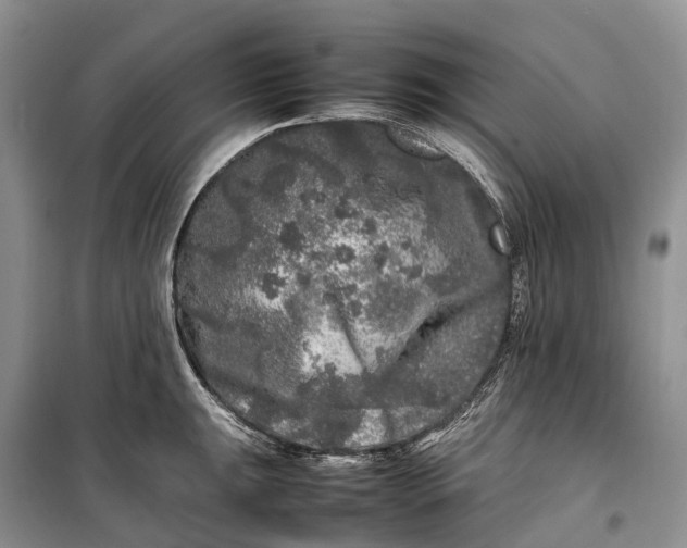 X0000100231047200806131332