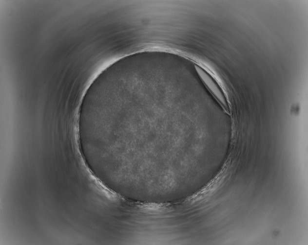 X0000100231048200806131332