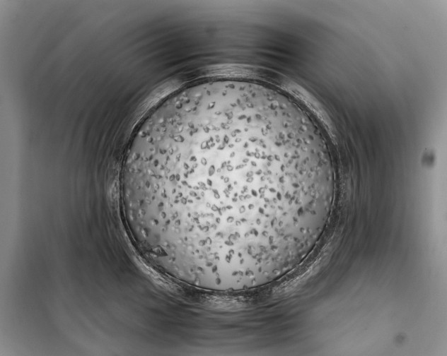 X0000100231049200806131332