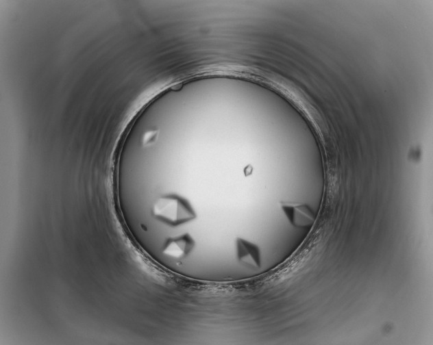 X0000100231050200806131332