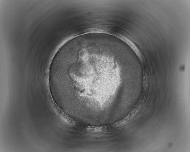 X0000100231051200806131332