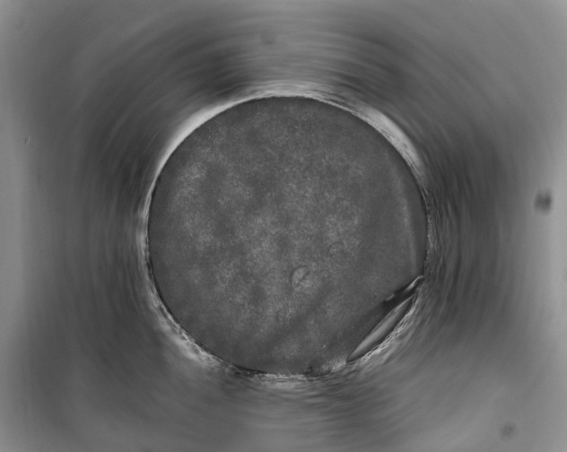 X0000100231052200806131332