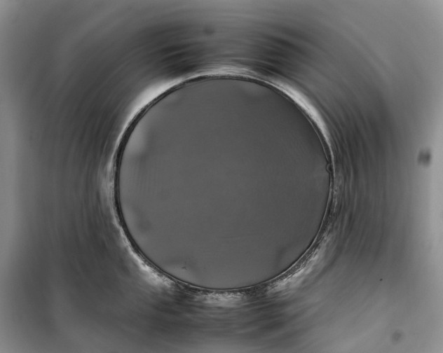 X0000100231053200806131332