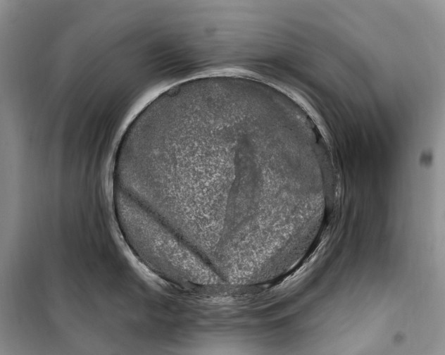 X0000100231054200806131332