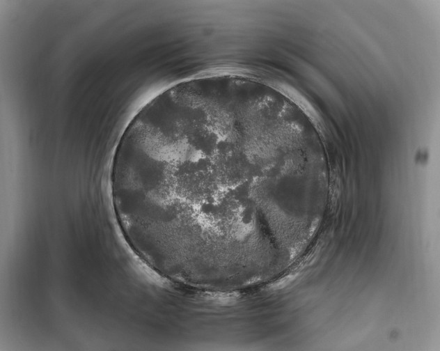 X0000100231055200806131332