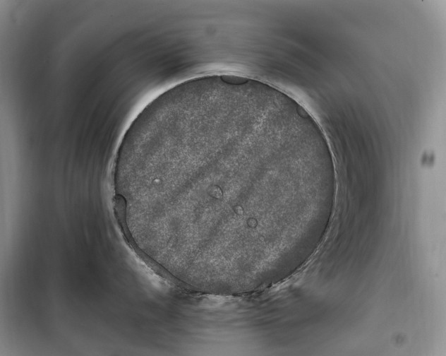 X0000100231056200806131332