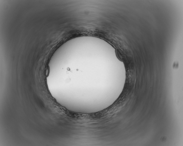 X0000100231057200806131331