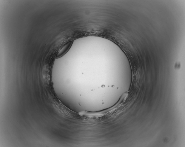 X0000100231058200806131331