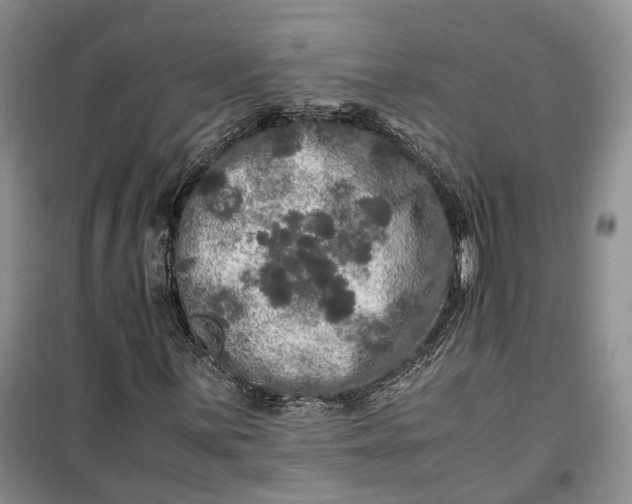 X0000100231059200806131331