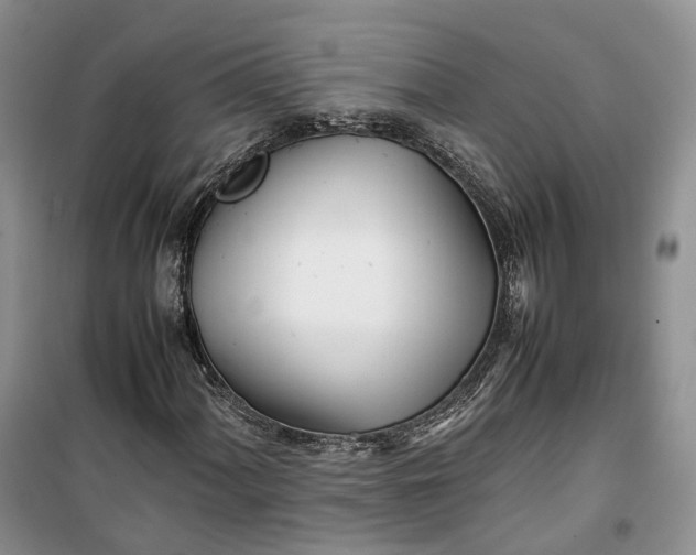 X0000100231060200806131331