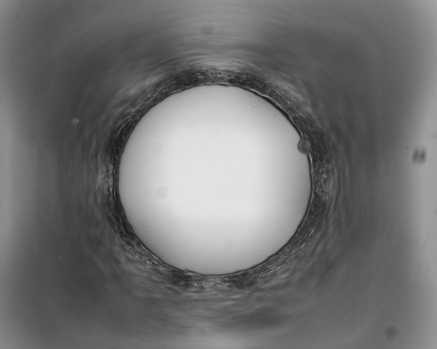 X0000100231061200806131331