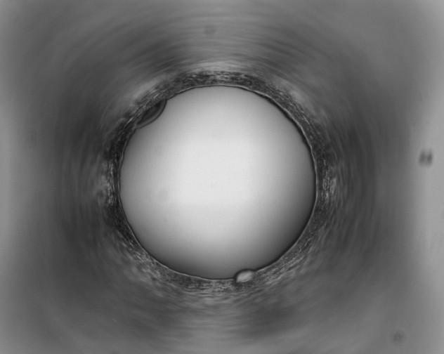 X0000100231062200806131331