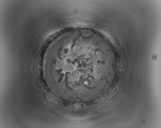 X0000100231063200806131331