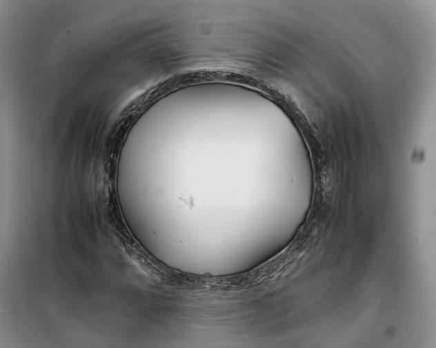 X0000100231064200806131331