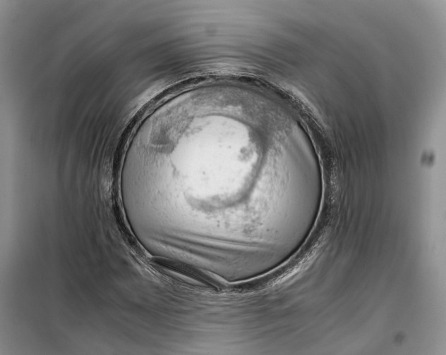 X0000100231065200806131331