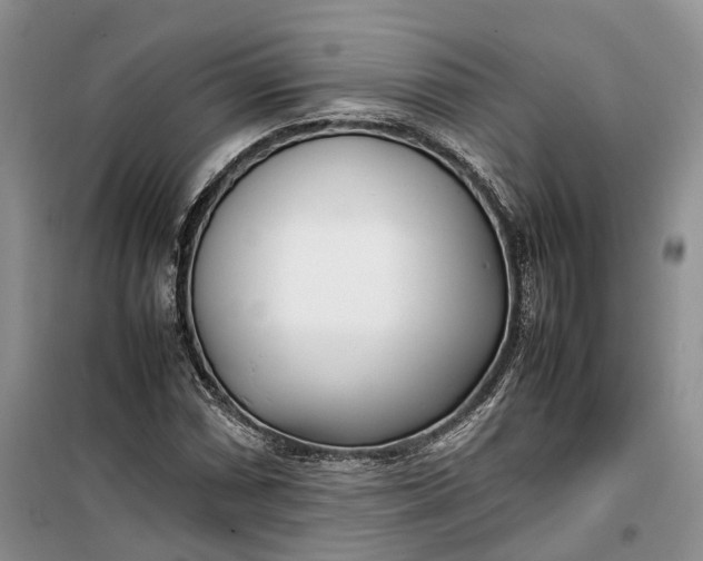 X0000100231066200806131331