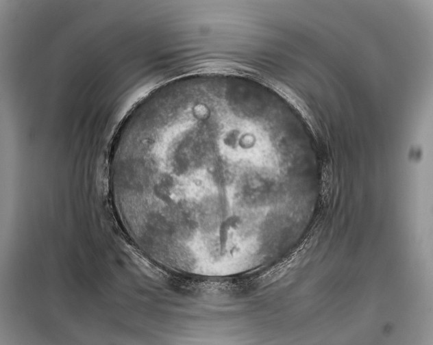 X0000100231067200806131331