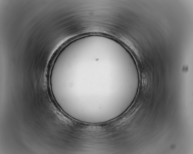 X0000100231068200806131331