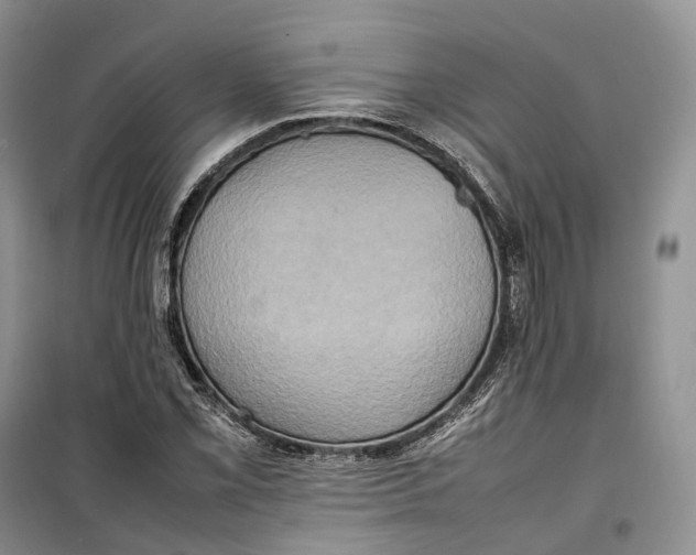 X0000100231069200806131331