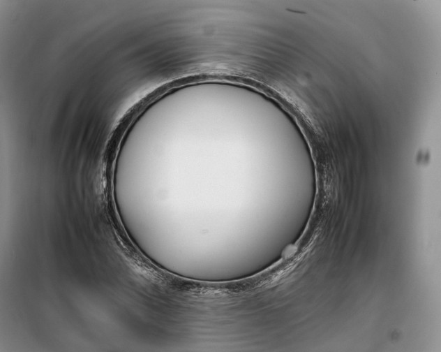 X0000100231070200806131331