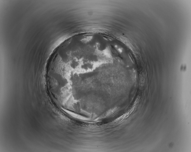 X0000100231071200806131331