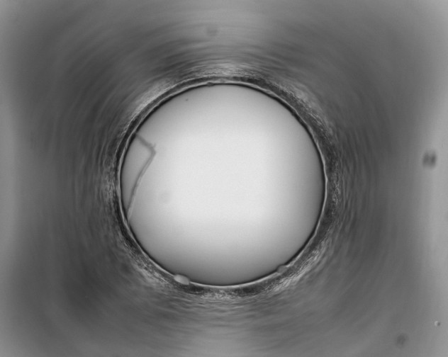 X0000100231073200806131331