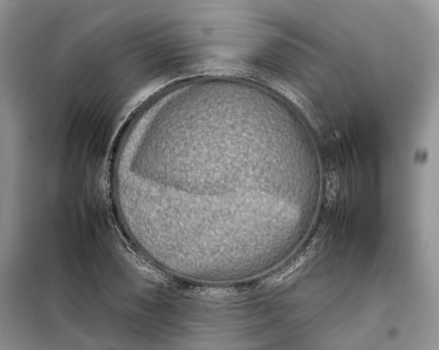 X0000100231074200806131331