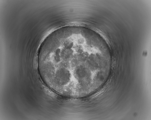 X0000100231075200806131331