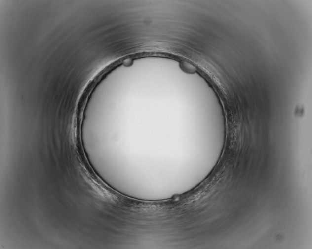 X0000100231076200806131331