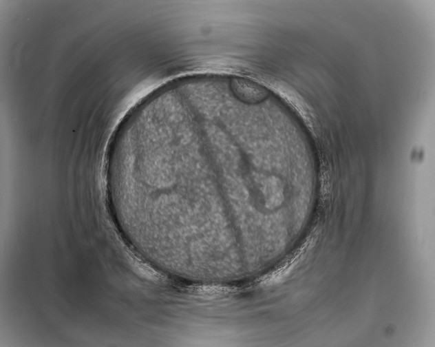 X0000100231077200806131331