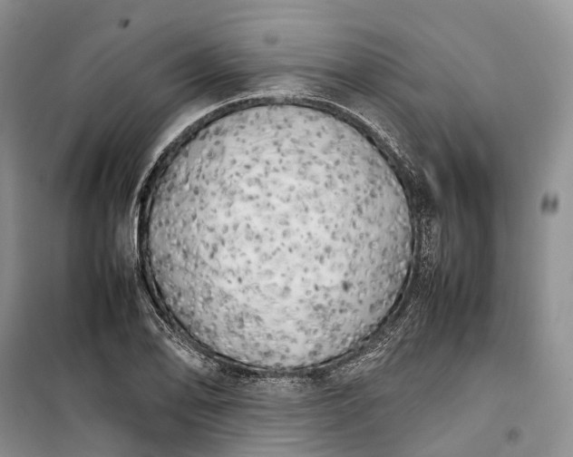 X0000100231078200806131331