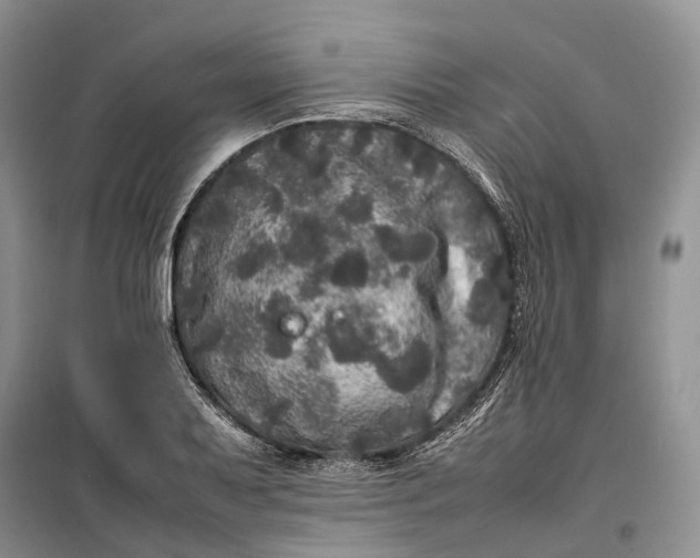 X0000100231079200806131331