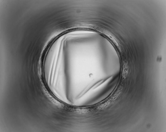 X0000100231080200806131331