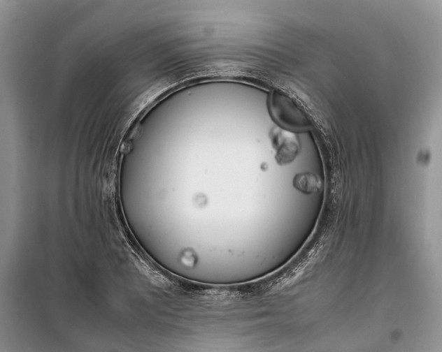 X0000100231081200806131331