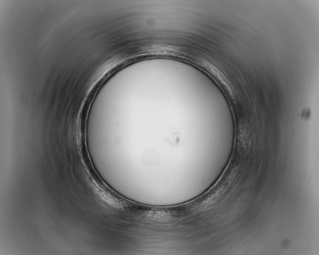 X0000100231082200806131331