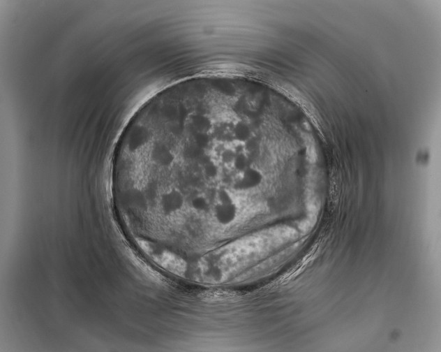 X0000100231083200806131331