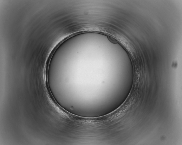 X0000100231084200806131331