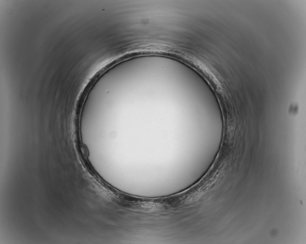 X0000100231085200806131331