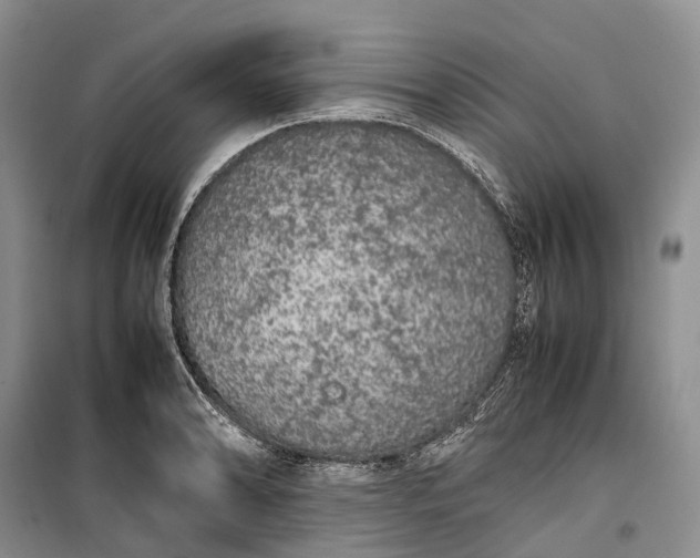 X0000100231086200806131331