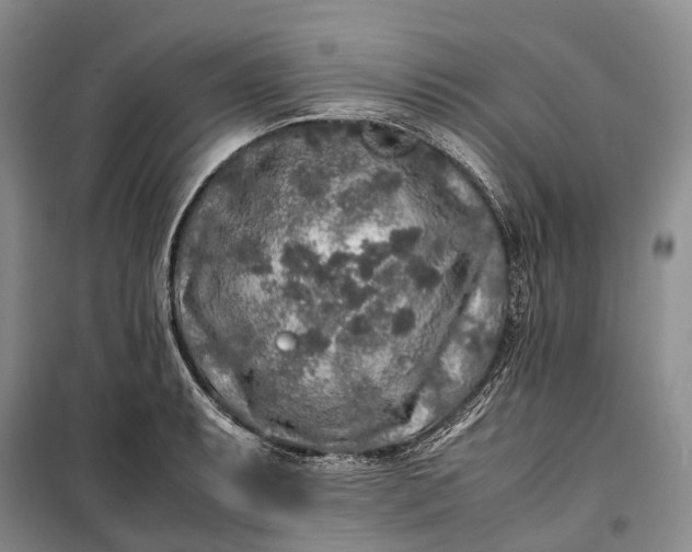 X0000100231087200806131331