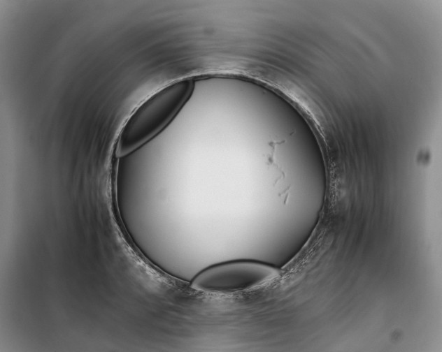 X0000100231088200806131331