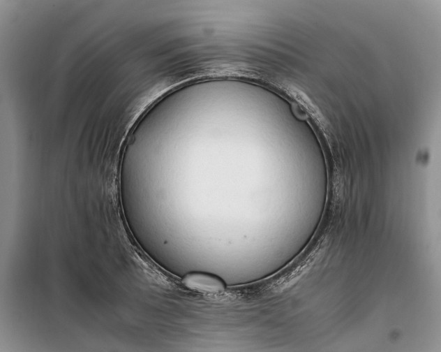 X0000100231089200806131331