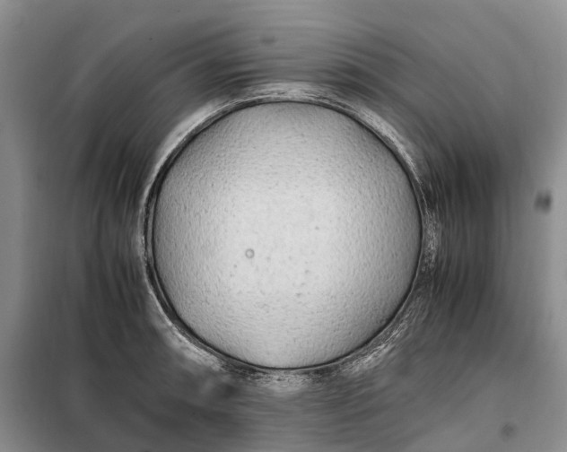 X0000100231090200806131331