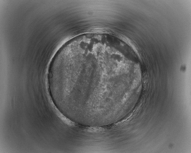 X0000100231091200806131331