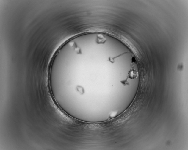 X0000100231092200806131331