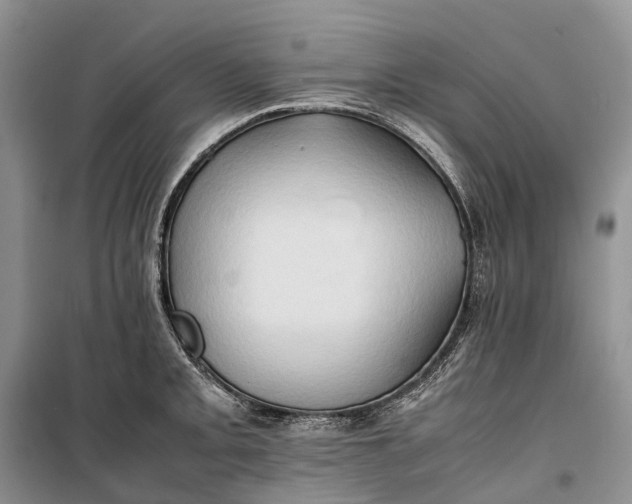 X0000100231093200806131331