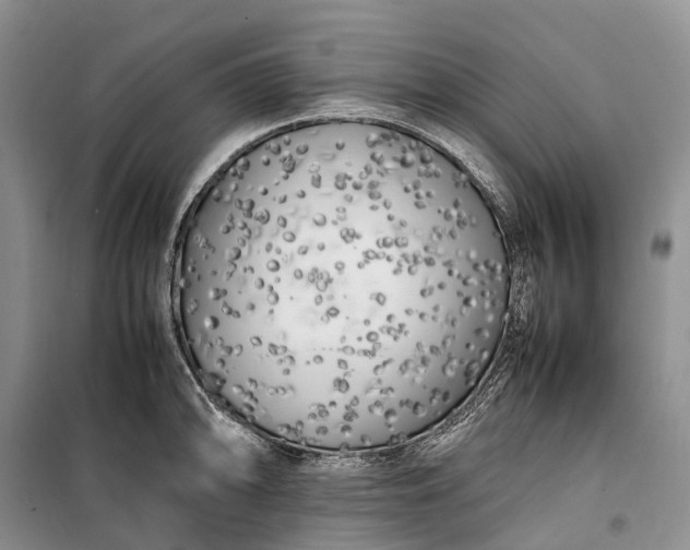 X0000100231094200806131331