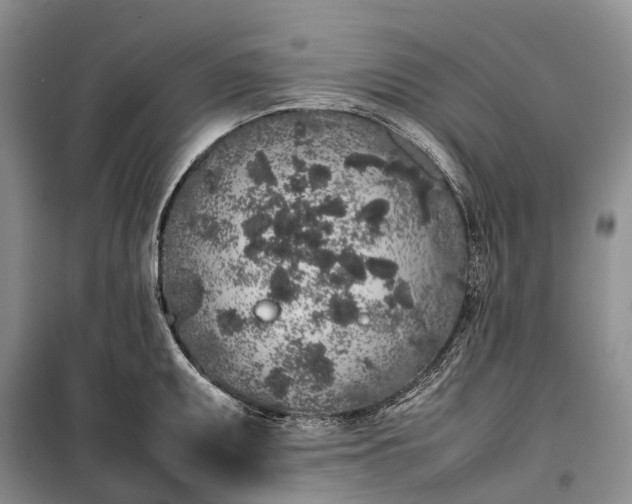 X0000100231095200806131331