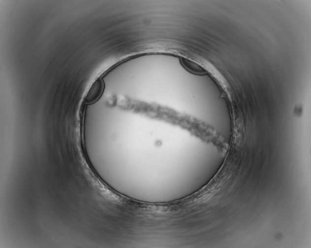 X0000100231096200806131331